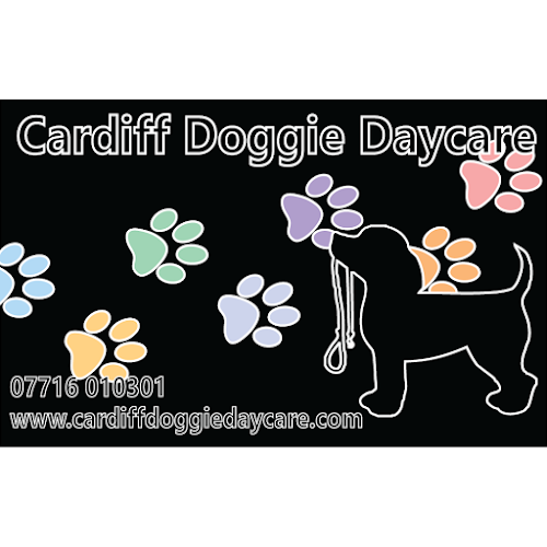 Cardiff Doggie Daycare Ltd - Dog trainer