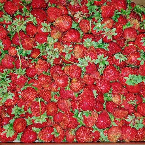 Produce Market «Boones Ferry Berry Farms», reviews and photos, 19602 NE Boones Ferry Rd, Hubbard, OR 97032, USA