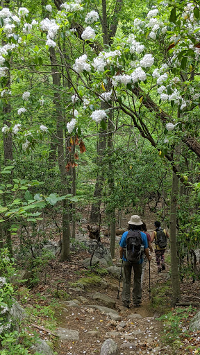 Nature Preserve «The New Weis Center for Education, Arts & Recreation», reviews and photos, 150 Snake Den Rd, Ringwood, NJ 07456, USA