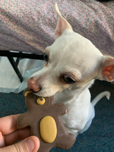 Pet Store «Pet World», reviews and photos, 7585 W 10th Ave, Lakewood, CO 80214, USA