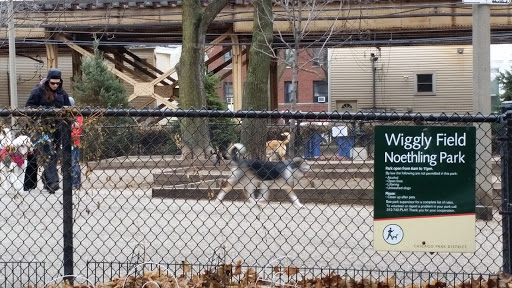 Dog Park «Wiggly Field Dog Friendly Area», reviews and photos, 2645 N Sheffield Ave, Chicago, IL 60614, USA