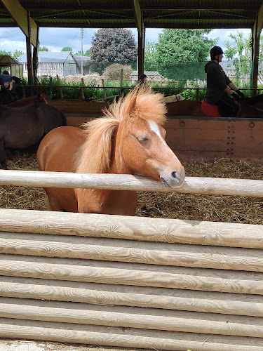 CENTRE EQUESTRE DU NEUBOURG à Vitot