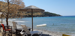 Paralia Agia Irini'in fotoğrafı çok temiz temizlik seviyesi ile