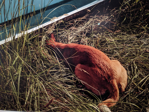 Art Museum «Portland Art Museum», reviews and photos, 1219 SW Park Ave, Portland, OR 97205, USA