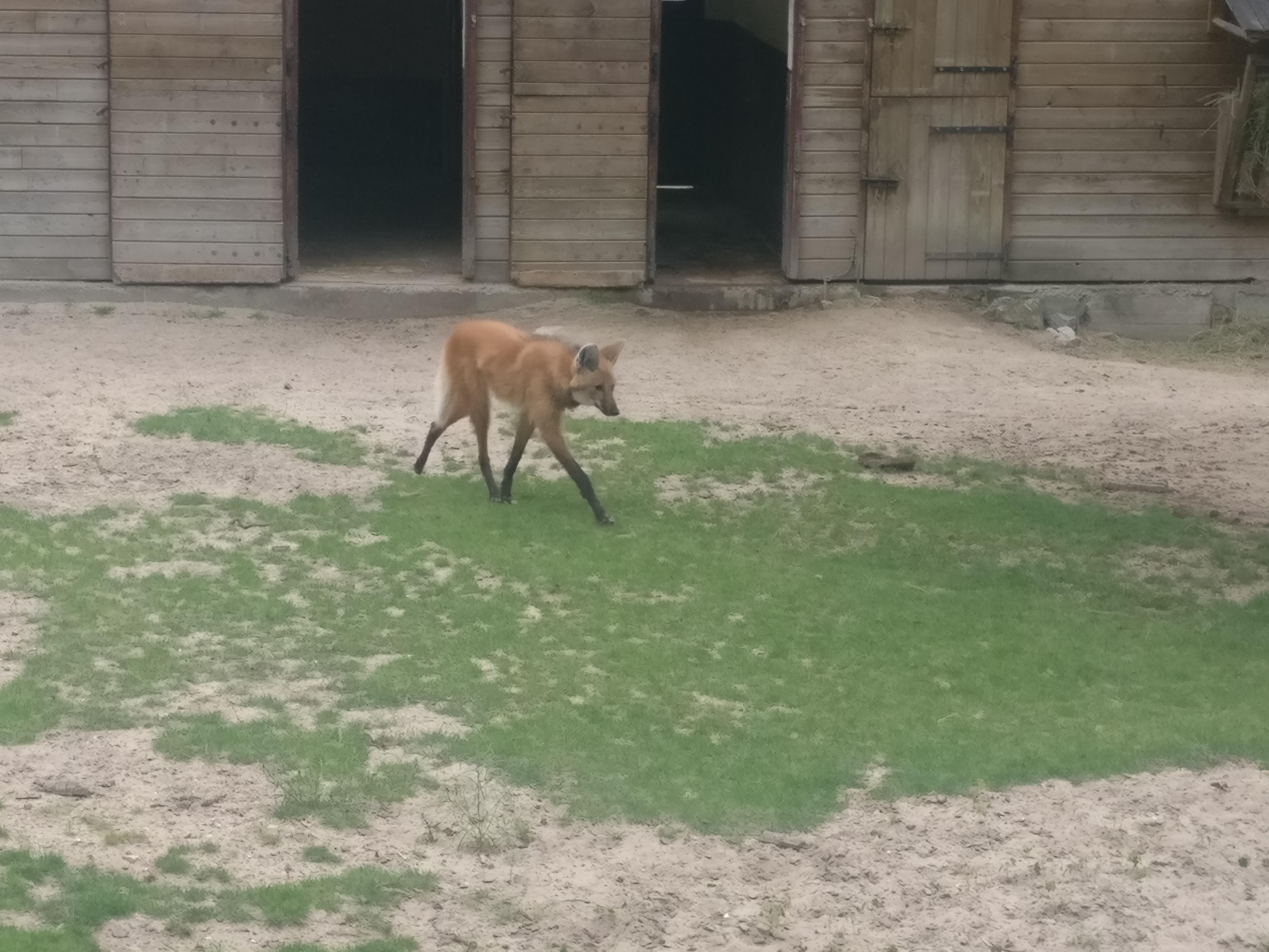 Photo n° 2 de l'avis de Alexia.o fait le 13/08/2018 à 09:32