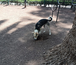 Iztaccíhuatl \