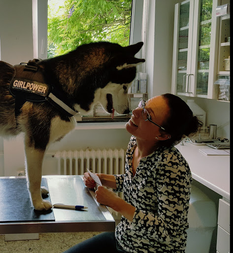 Mobile Tierarztpraxis Dr. Katrin Wontorra, ganzheitlich orientiert, Hausbesuche & Sprechstunde unter Ratingen, 