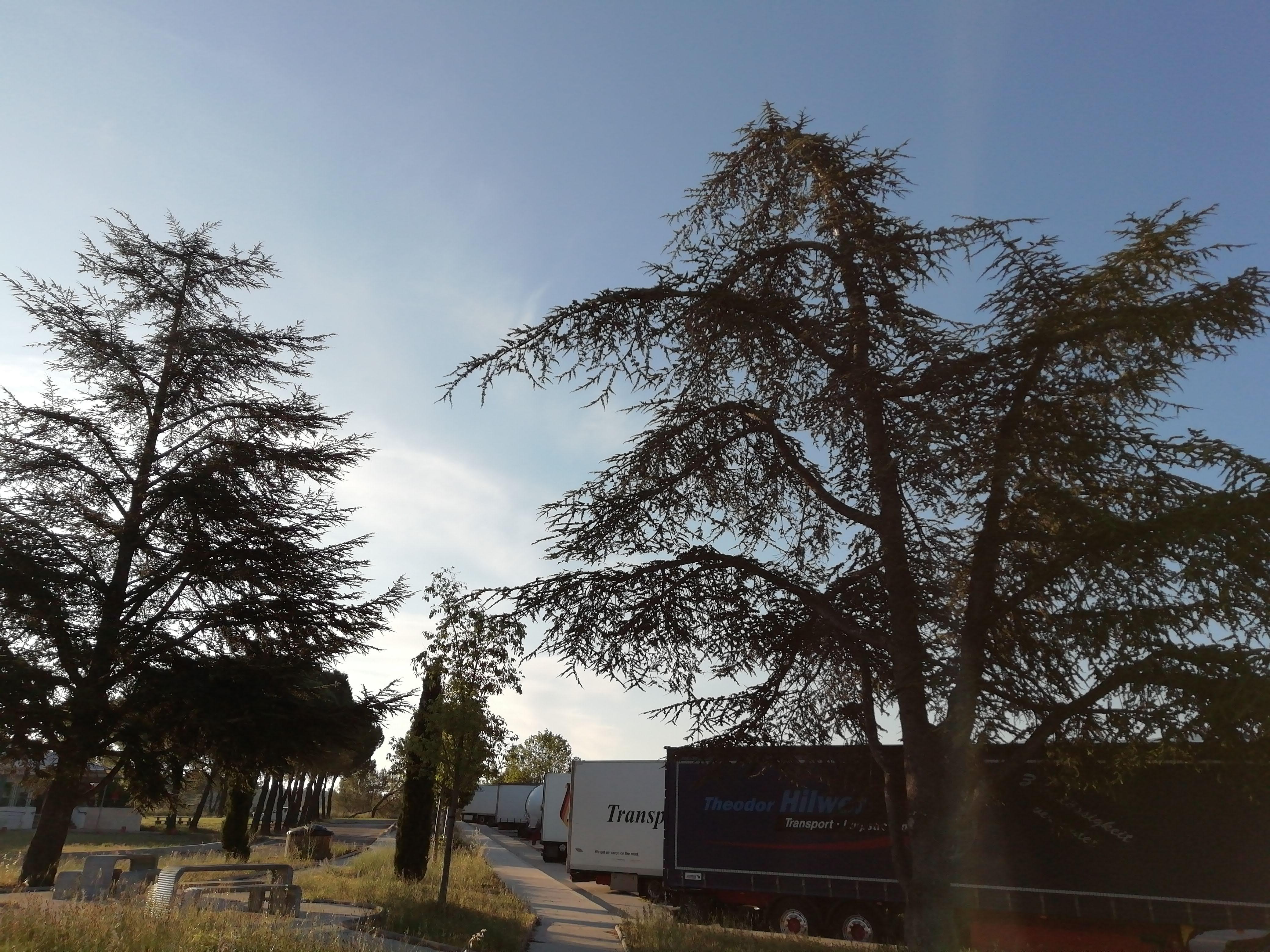 Photo n° 9 de l'avis de Serzh. fait le 04/06/2019 à 13:52