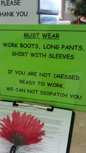 Employment Agency «Labor Finders», reviews and photos, 601 W Robertson St, Brandon, FL 33511, USA