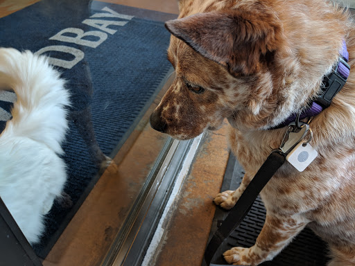 Pet Supply Store «Mud Bay», reviews and photos, 13407 NE 20th St, Bellevue, WA 98005, USA