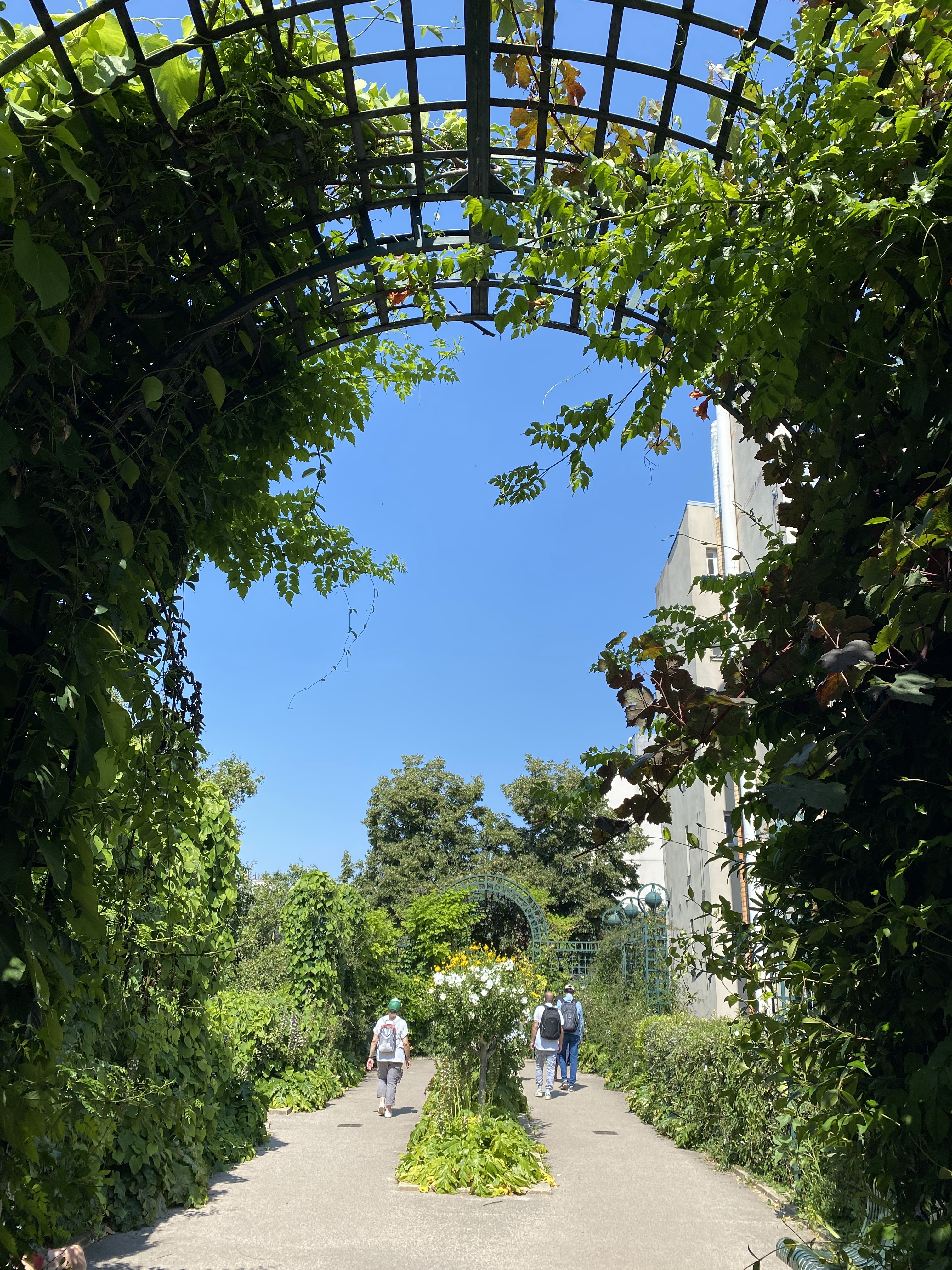 Photo n° 1 de l'avis de Antoine.a fait le 22/07/2021 à 13:28