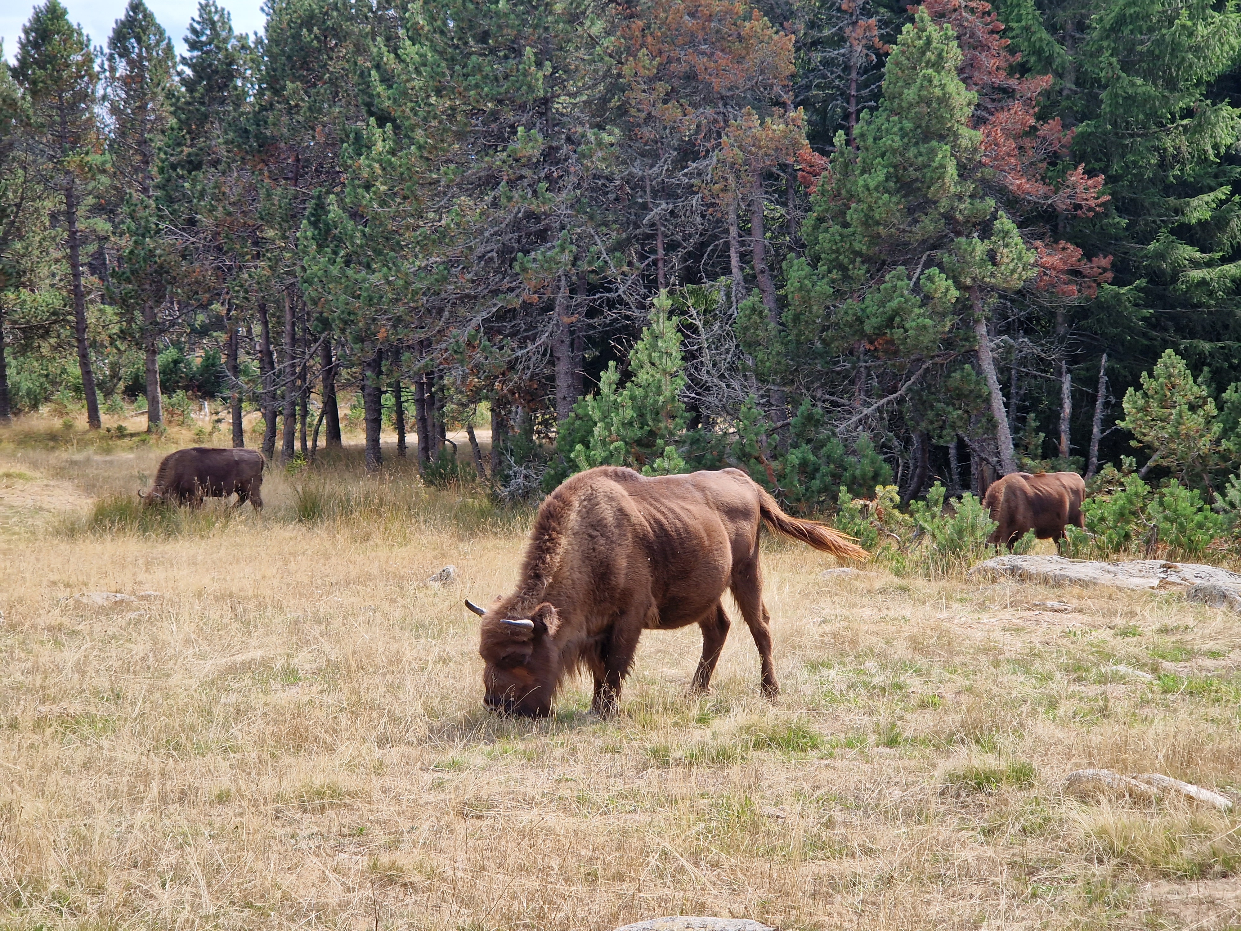 Photo n° 1 de l'avis de Laura.I fait le 30/08/2022 à 17:17