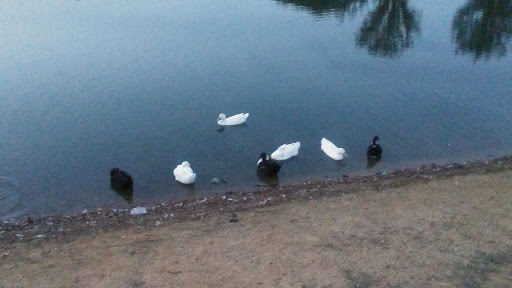 Park «Salem Park», reviews and photos, 1724 GA-155 N, McDonough, GA 30252, USA