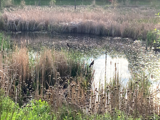 Park «Prestemon Park», reviews and photos, 3900 NE McKinley St, Columbia Heights, MN 55421, USA