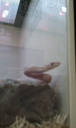 Pet Supply Store «Pet Supplies Plus», reviews and photos, 3205 W 115th St, Merrionette Park, IL 60803, USA