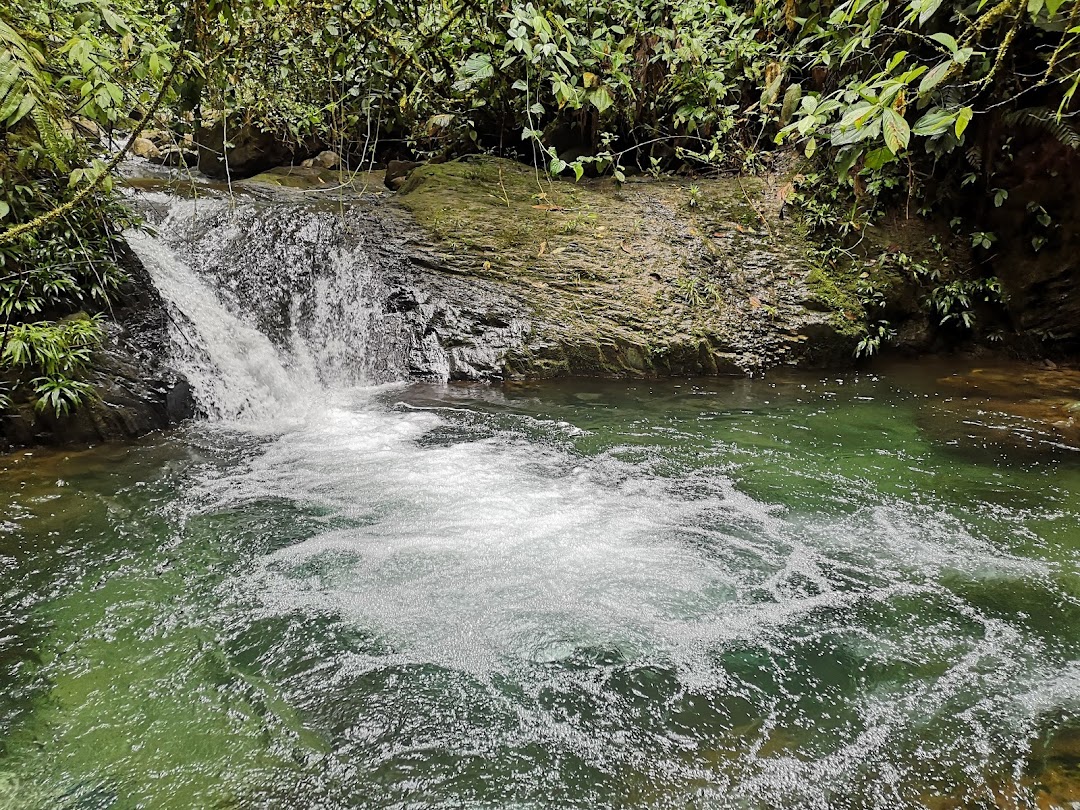 Quebrada Pericos