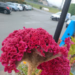 Photo n°2 de l'avis de Vera.i fait le 27/10/2023 à 09:51 sur le  Hotel Comtes de Challant à Fénis