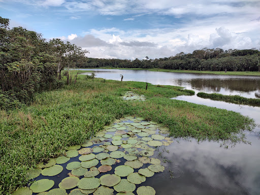 Parque ecológico Manaus