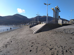 Photo de Plage de Newcastle et le règlement