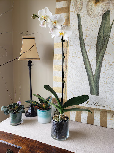 Florist «Village Florist», reviews and photos, 49 Main St, Toms River, NJ 08753, USA