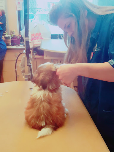 Pet Supply Store «PetSmart», reviews and photos, 60 NJ-17, Paramus, NJ 07652, USA