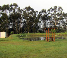 George Country Resort photo