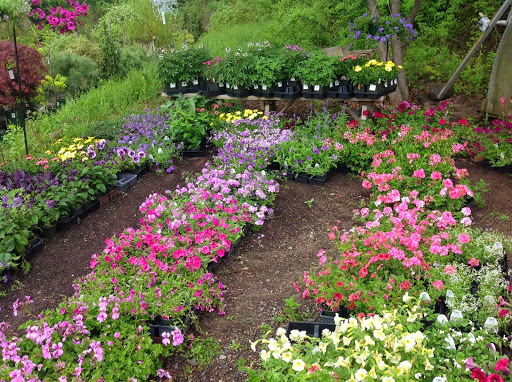 Garden Center «Victoria Gardens», reviews and photos, 1 Cottekill Rd, Rosendale, NY 12472, USA