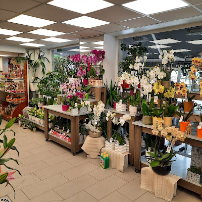 Des Fleurs A Tout Prix à Meaux