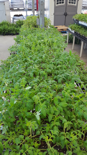 Appliance Store «Stine Lumber», reviews and photos, 1335 N Pine St, DeRidder, LA 70634, USA