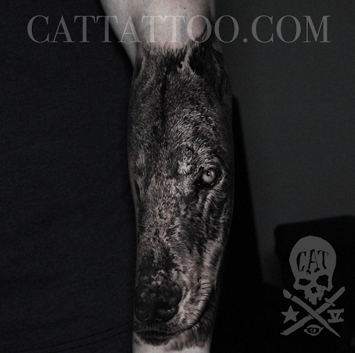 Explore aerosmith tattoo ideas, creative tattoo ideas in Addison, available at Cat Tattoo