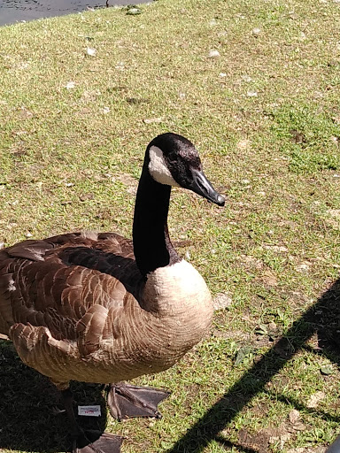 Resort «Six Flags Great Escape Lodge & Indoor Water park», reviews and photos, 89 Six Flags Drive, Queensbury, NY 12804, USA