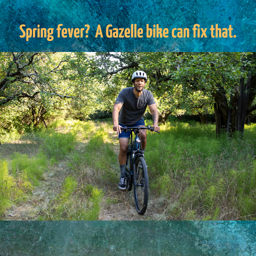 Mostly E-Bikes image
