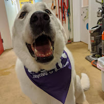 PetSound - Photo 8 - Car repair in Cary, NC, Durham