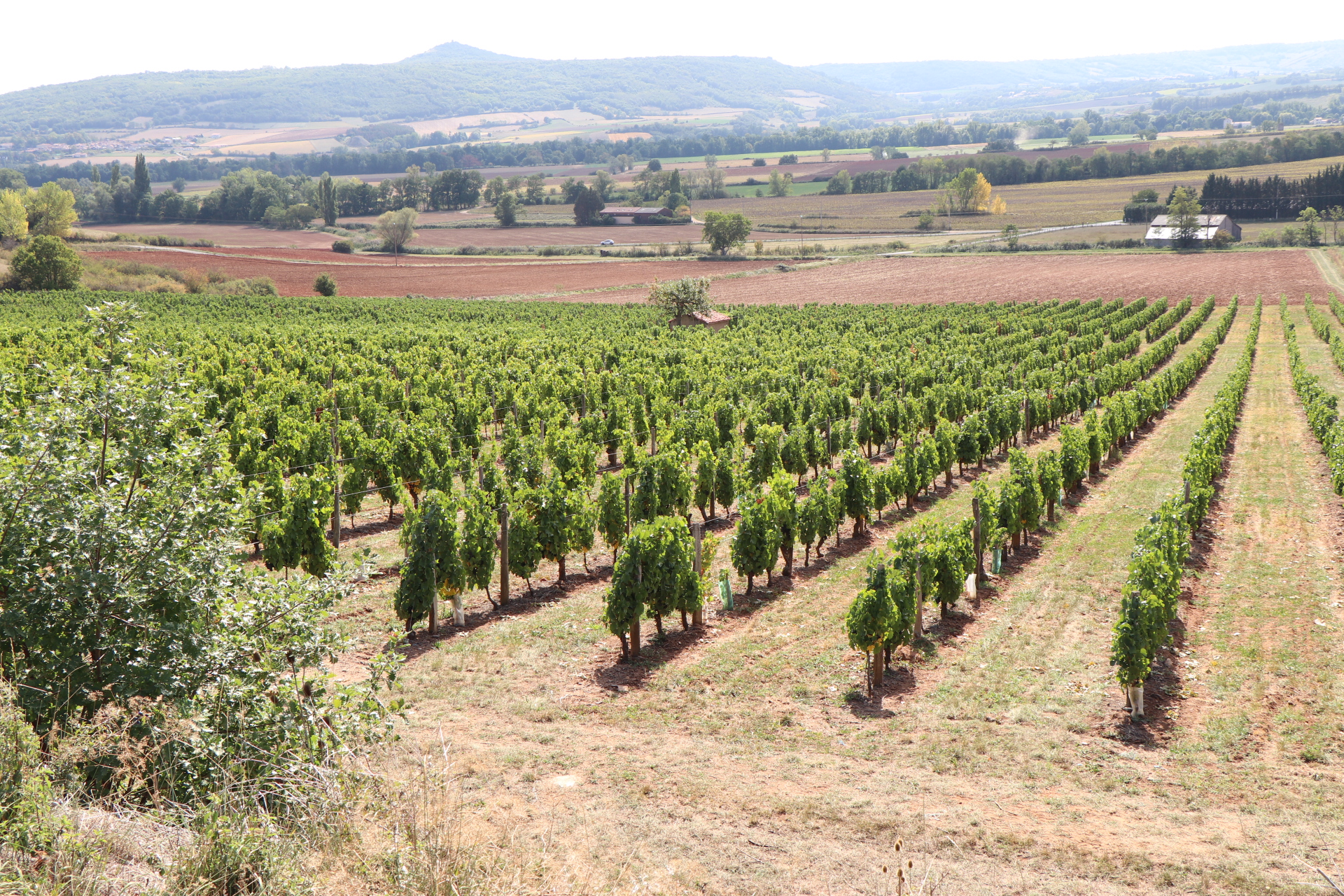 Photo n° 3 de l'avis de m.. fait le 18/09/2019 à 13:54