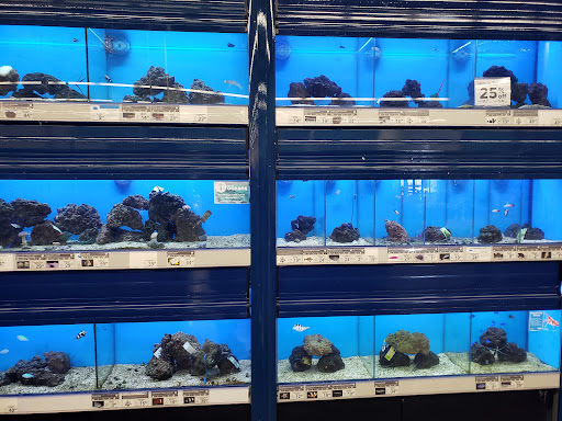 Pet Supply Store «Petco Animal Supplies», reviews and photos, 585 E Wetmore Rd, Tucson, AZ 85705, USA