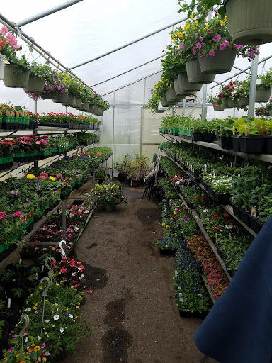 Hardware Store «Ham Lake Hardware Hank», reviews and photos, 17426 MN-65, Ham Lake, MN 55304, USA