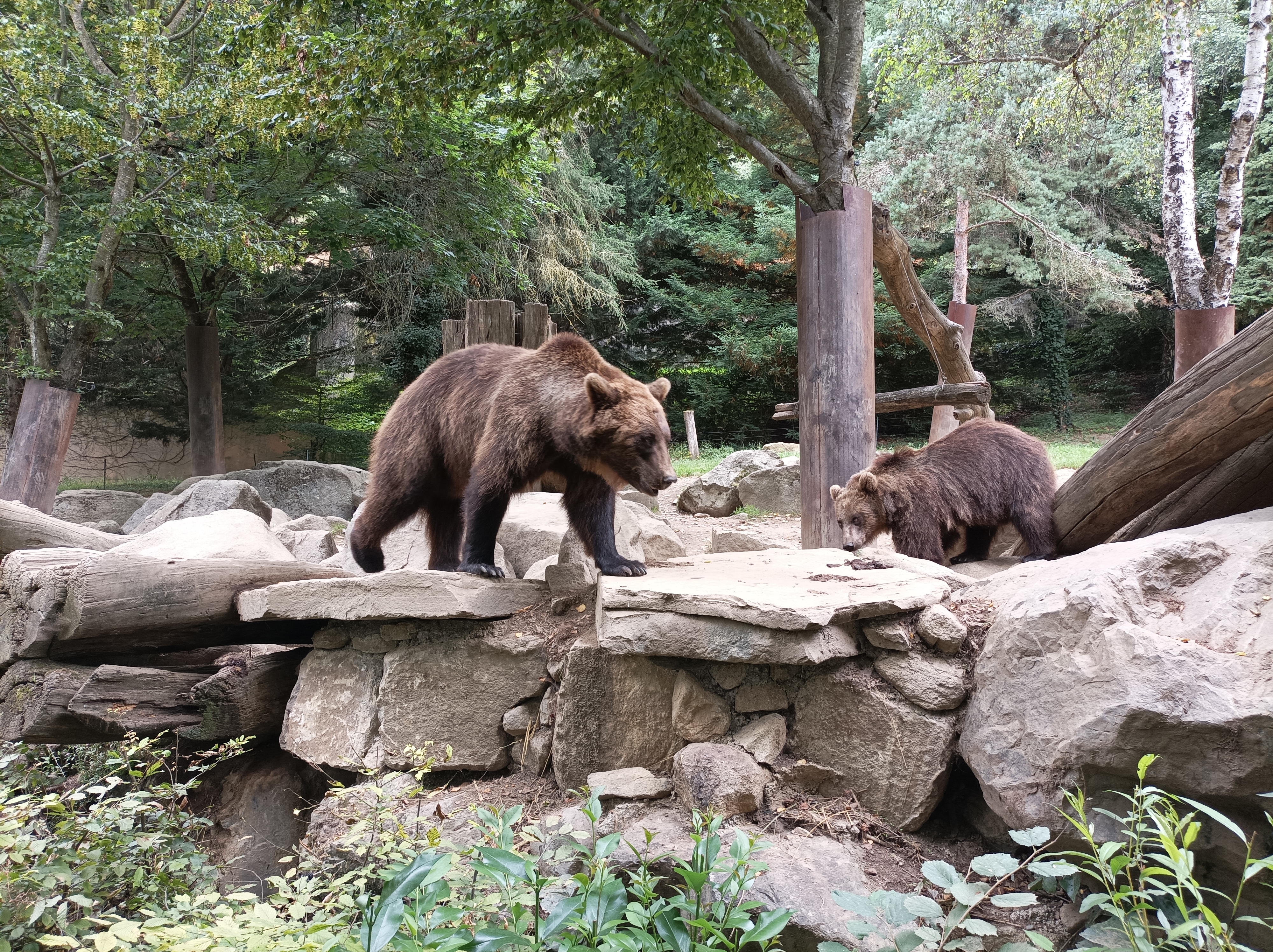Photo n° 4 de l'avis de Ludo.o fait le 25/07/2023 à 17:39