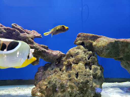 Pet Supply Store «The Feed Bag Pet Supply», reviews and photos, 10900 N Port Washington Rd, Mequon, WI 53092, USA