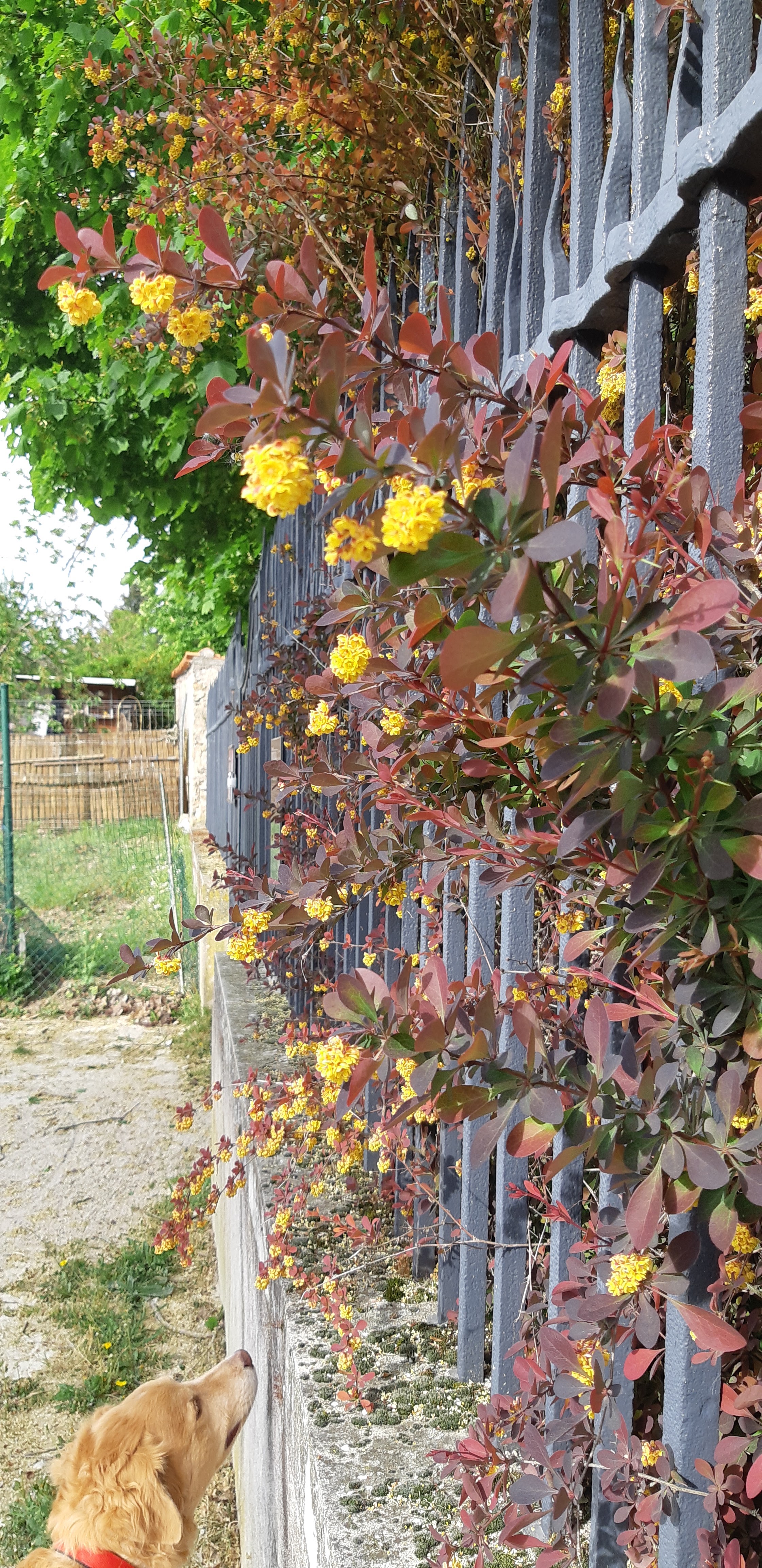 Photo n° 4 de l'avis de Mangin.s fait le 20/07/2021 à 09:02