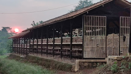 Poultry Layer Farm