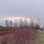 Photo n°4 de l'avis de Narender.u fait le 21/12/2023 à 14:10 sur le  Hotel NH Milano Fiera à Rho