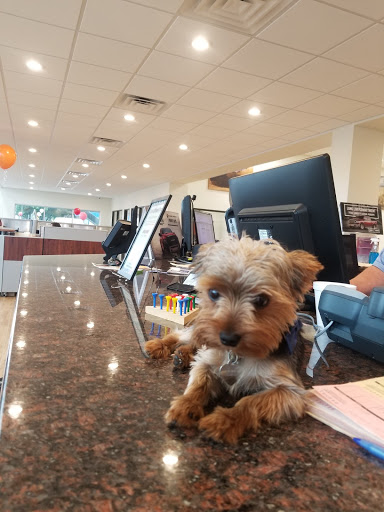 Dodge Dealer «Benny Boyd Lampasas Chrysler Dodge Jeep Ram», reviews and photos, 601 N Key Ave, Lampasas, TX 76550, USA