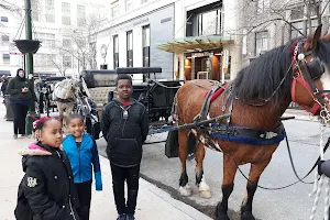 Chicago Horse & Carriage image