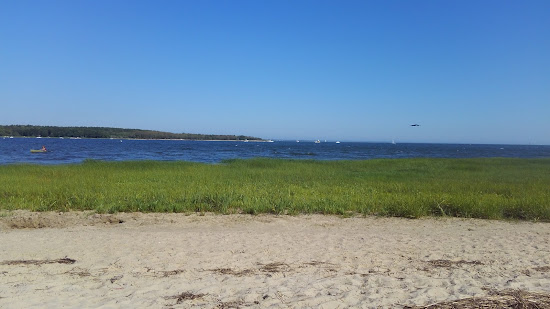 Swift's Beach