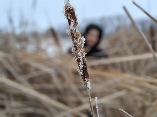 Park «Lake Elmo Park Reserve», reviews and photos, 1515 Keats Ave N, Lake Elmo, MN 55042, USA