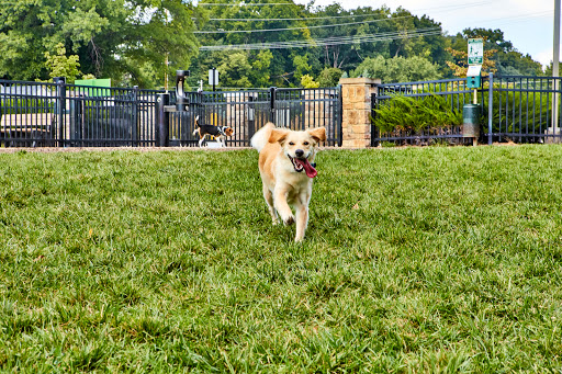 Central Dog Park