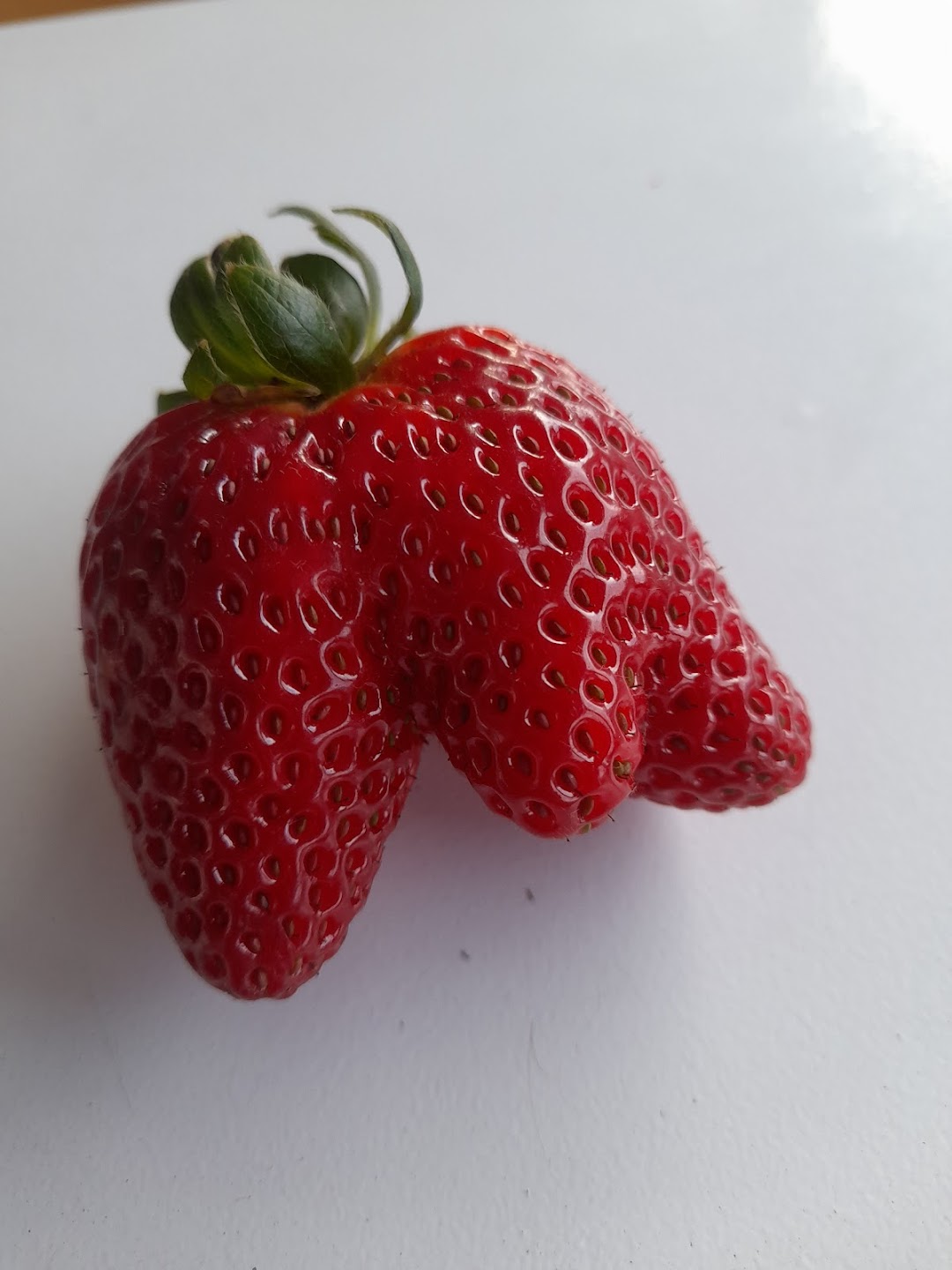 Fresas San Ignacio