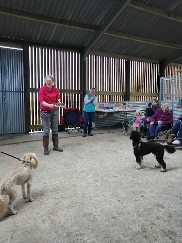 Country Kennels & Cattery - Gloucester