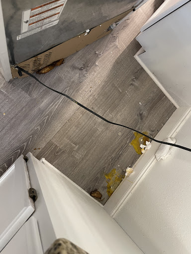 Bankruptcy Attorney «LAW OFFICE OF TONY TURNER - BANKRUPTCY LAW», reviews and photos