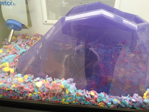 Pet Supply Store «Petco Animal Supplies», reviews and photos, 22511 TX-249, Houston, TX 77070, USA